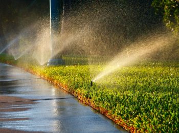 Sprinkler Repair