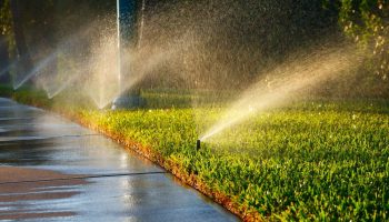 Sprinkler Repair